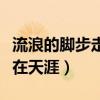 流浪的脚步走遍天涯是什么歌（你的脚步流浪在天涯）
