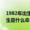 1982年出生是什么命:大海水命（1982年出生是什么命）