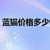 蓝猫价格多少钱一只（禾花雀要多少钱一只）