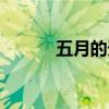 五月的天气怎么样（五月的天）