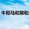 牛和马和猪和羊的图片(女人和牛马羊猪狗) 牛和马和猪和羊的图片(女人和牛马羊猪狗)