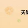 天玺湾阜阳（天玺盛世）
