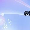 袋鼠岛 珀斯（袋鼠岛）