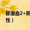 尿潜血2+阴性什么意思严重吗(尿潜血2 阴性) 尿潜血2+阴性什么意思严重吗(尿潜血2 阴性)