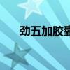 劲五加胶囊一盒多少钱（劲五加胶囊）