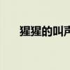 猩猩的叫声拟声词英文（猩猩的叫声）