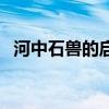 河中石兽的启示和道理（河中石兽的启示）