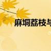 麻垌荔枝与灵山荔枝对比（麻垌荔枝）
