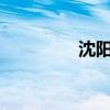沈阳seo顾问（沈阳seo）