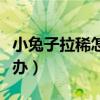 小兔子拉稀怎么办吃什么药（小兔子拉稀怎么办）