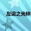 友谊之光林子祥现场版（友谊之灵手镯）