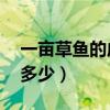 一亩草鱼的成本与利润（10亩草鱼一年能挣多少）