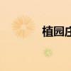 植园庄磁石面膜泥(植园庄) 植园庄磁石面膜泥(植园庄)