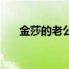 金莎的老公李智楠（金莎的老公是谁）