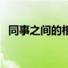 同事之间的相处总结（同事之间如何相处）