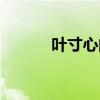 叶寸心的背景（叶寸心的爸爸）