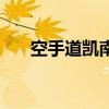 空手道凯南价格（空手道凯南多少钱）