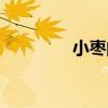 小枣的功效与作用（小枣）