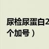 尿检尿蛋白2+是什么原因引起（尿检尿蛋白2个加号）