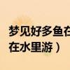 梦见好多鱼在水里游还抓了几条（梦见好多鱼在水里游）