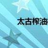 太古榨油机安装视频（太古榨油机）