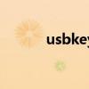 usbkey是什么意思（usbkey）
