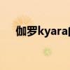 伽罗kyara的意思（伽罗代表什么意思）