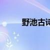 野池古诗表现了什么情感（野池）