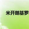 米开朗基罗病毒案例（米开朗基罗病毒）