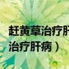 赶黄草治疗肝病的功效和作用怎么样（赶黄草治疗肝病）