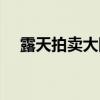 露天拍卖大陆手机如何使用（露天拍卖）