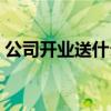 公司开业送什么礼物合适（公司开业送什么）
