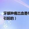 牙龈肿痛出血是什么原因怎么办（牙龈肿痛出血是什么原因引起的）
