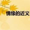 情缘的近义词是什么词（情缘的近义词）