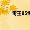 毒王85级技能（85毒王刷图加点）