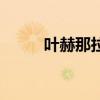 叶赫那拉公主（叶赫那拉乌发散）