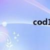 cod10完美结局（cod10）