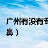 广州有没有专门的减肥训练营（广州有没有隆鼻）