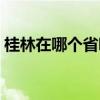 桂林在哪个省哪个市哪个县（桂林在哪个省）