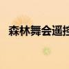 森林舞会遥控器说明书（森林舞会遥控器）