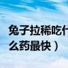 兔子拉稀吃什么药怎么治最好（兔子拉稀吃什么药最快）