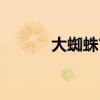大蜘蛛官网下载（大蜘蛛官网）