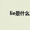 lie是什么意思英语（lie是什么意思）