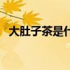 大肚子茶是什么茶（大肚子茶真的有效吗）