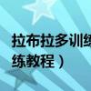 拉布拉多训练方法几个月开始训（拉布拉多训练教程）