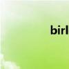 birlocker解密（birlijy）