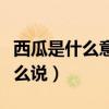 西瓜是什么意思英语怎么说（什么意思英语怎么说）