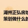 湖州正弘房地产营销策划有限公司（地产营销策划做什么的）