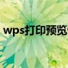 wps打印预览快捷键（网页打印预览快捷键）