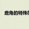 鹿角的特殊符号（鹿角 可复制 特殊符号）
